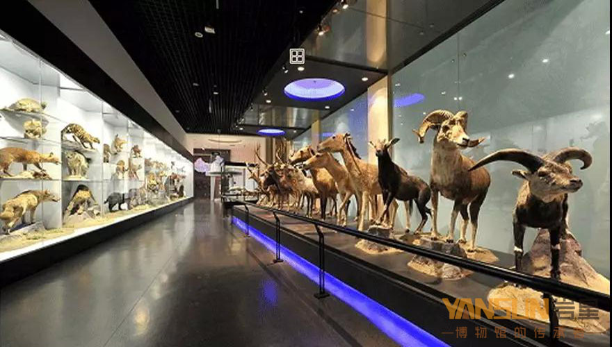 博物館展館設計方案:感受色彩對比的方法和變化的規律插圖(2)