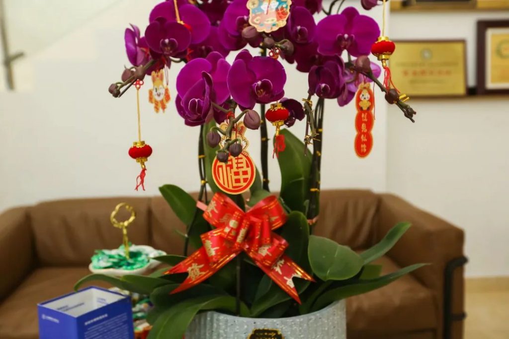 星之聲 | 新開序章，揚帆起航！插圖(2)